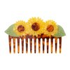 Couleur Unique