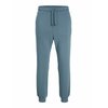 Pantalon bleu marine homme