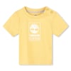 Ochre