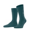 Bleu Amazonia