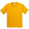 Bouton D'Or