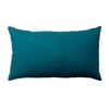 Bleu Canard