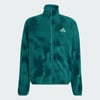 Collegiate Green / Green Night