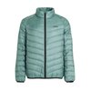 Arcticgreen