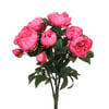 Rose Foncé