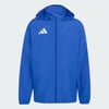 Royal Blue / White