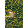 Tableau Alu Dibond