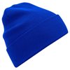 Bleu Roi Vif