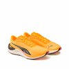 Puma jaune