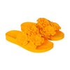 Tournesol