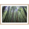 Affiche + Cadre En Bois - Chêne