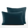 Bleu Paon