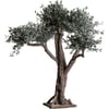 Marron Et Vert