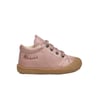 Rose-