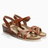Camel/Gold