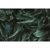 Tableau Alu Dibond