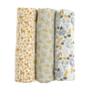 Jaune, Blanc, Bleu