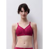 Fraise Des Bois