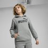 Sweat garçon Puma