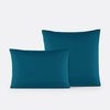 Prussian Blue