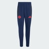 Night Indigo / Hi-Res Red