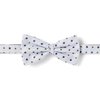 Pois Bleu Marine Camel