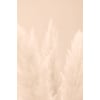 Tableau Alu Dibond