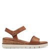 Marron Noix