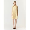 Jaune - Anise Flower1
