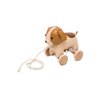 Marron, Beige