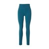 Bleu Sarcelle
