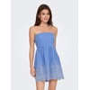 Blue Bonnet
