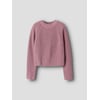 Violet - Lilas1