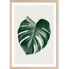 Affiche + Cadre En Bois - Chêne