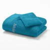 Bleu Canard