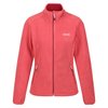 Corail Clair