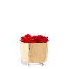Vermelho/dourado