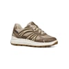 Beige/Taupe
