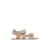 Gris Tourterelle-