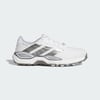 Cloud White / Iron Metallic / Silver Metallic
