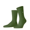 Bambou Vert