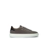 Darkgrey