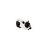 Chat Noir Et Blanc