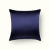 Bleu Nuit