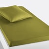 Vert Olive