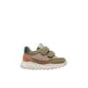 Tourterelle-Militaire-
