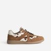 Camel Multicolore