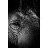 Tableau Alu Dibond