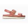 Rose 5144