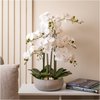 White ceramic plant pot